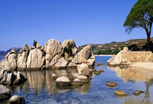 阿森纳主场击败南安普顿，止住连败颓势